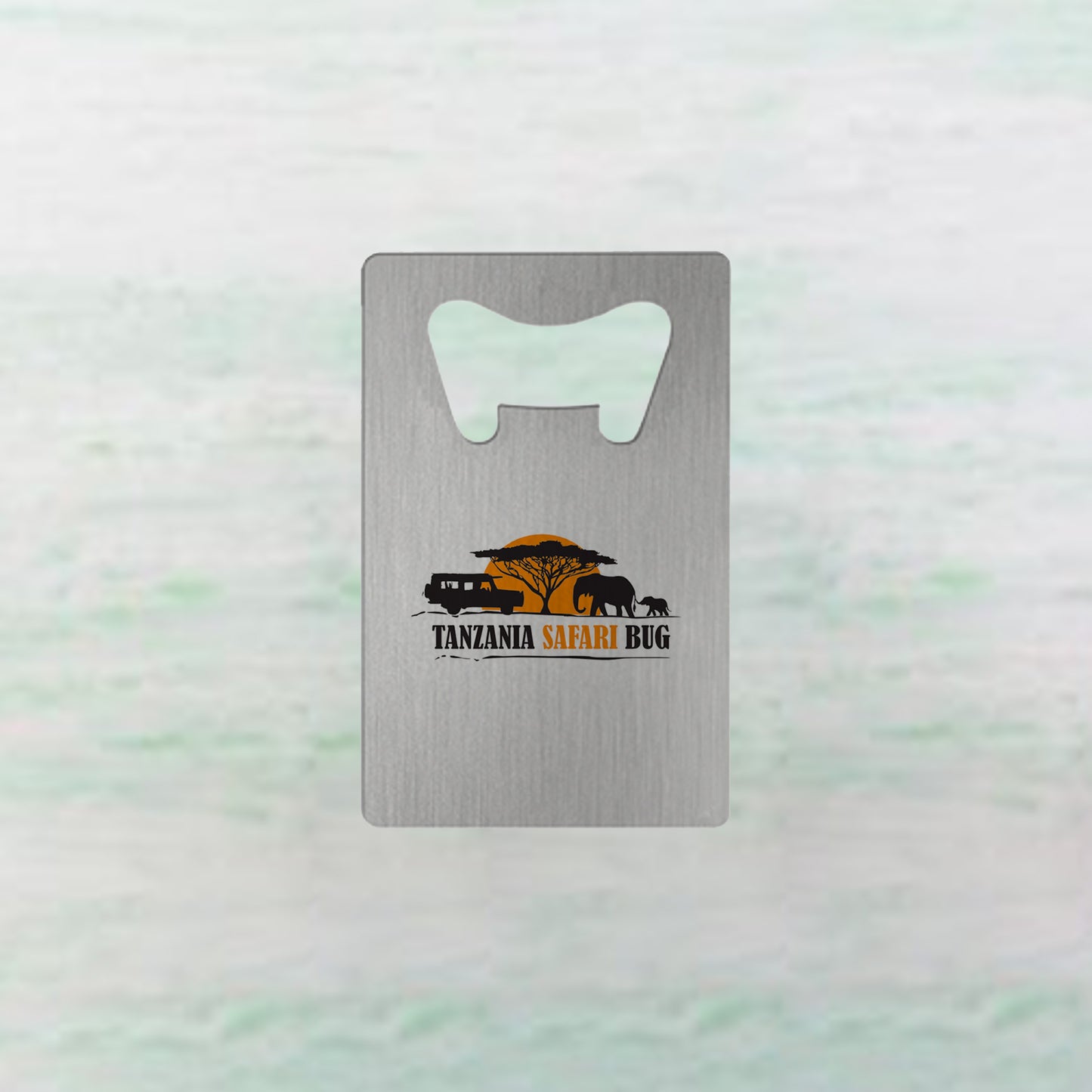Stainless Steel Bottle Opener(Credit Card, 5.3*8.5cm)